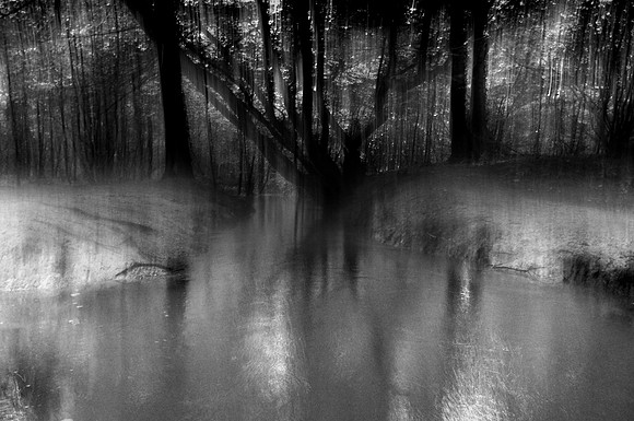 Into the woods 2