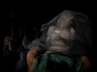 weddings + funerals 36 #478