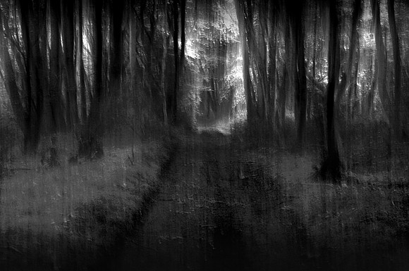 Wood blur
