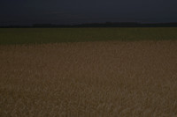 field 4 #70
