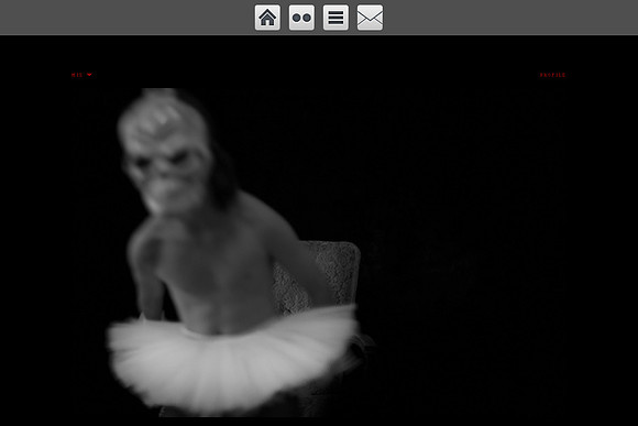flickr based website