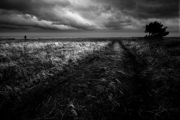 Walking into the storm