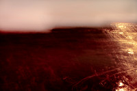 sea of blood #13