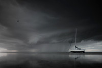 the coming storm 1