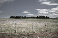 fence 2