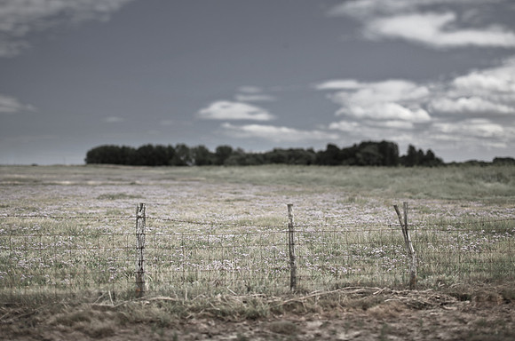 fence 2