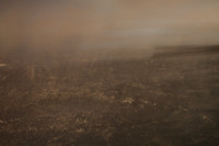 sea of blood #19