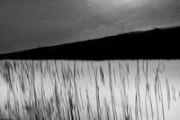 v2 bw