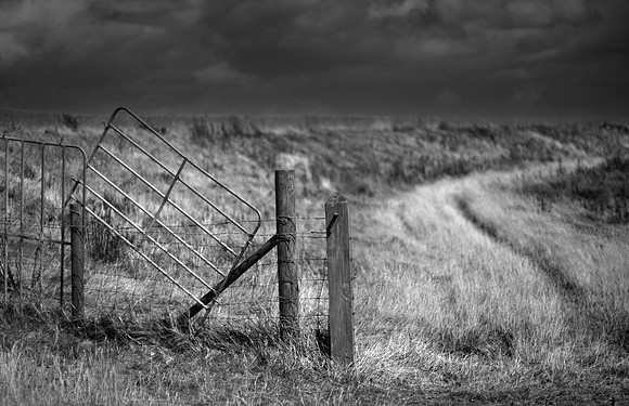 Fence 2