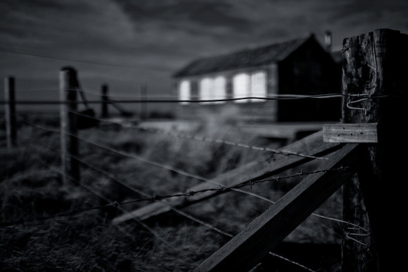 Barbed wire