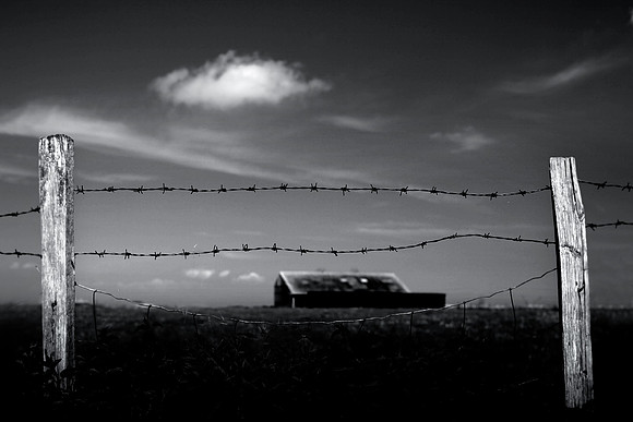 Farm 2