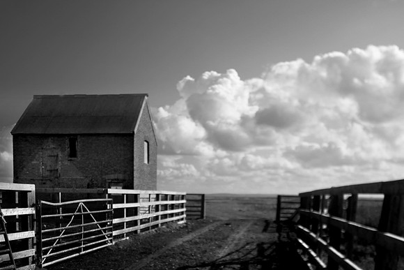 Barn 2