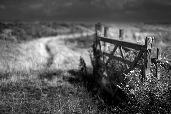 Gate