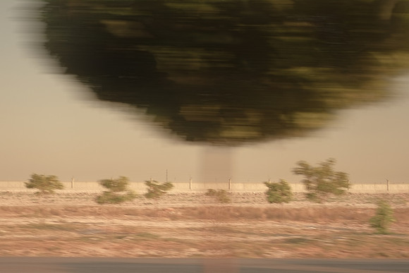 silk road #12