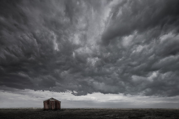 dungeness 6