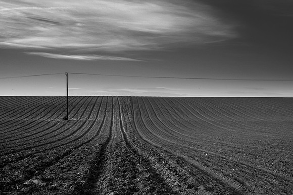Field