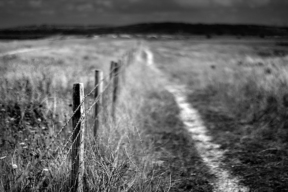Fence 1