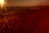 sea of blood #4