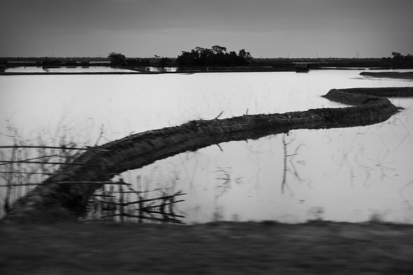 bangladesh-281