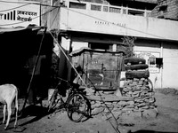 delhi-120