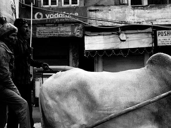 delhi-467