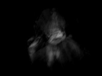250414 #67