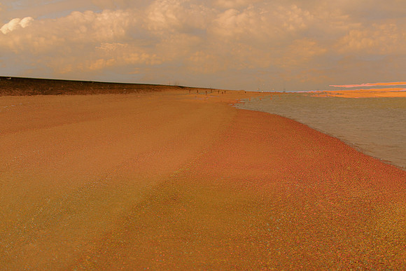 2013-03-22-525
