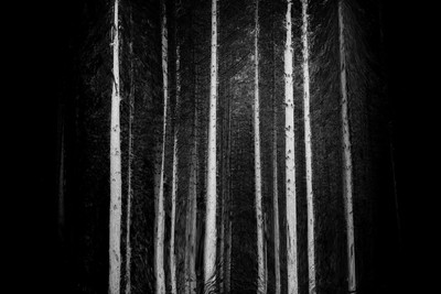 2013-09-29-223-2