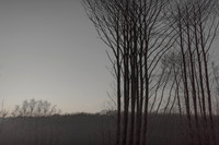 291114/340