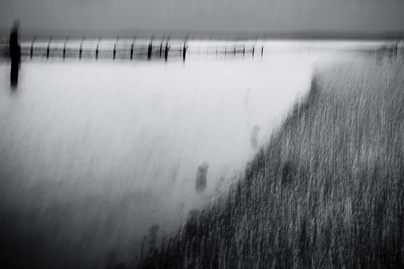 chrisfriel-5