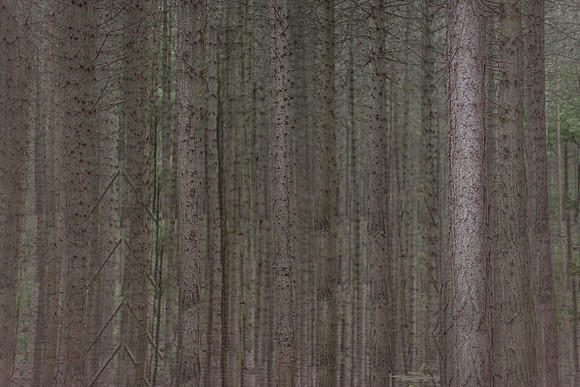 chrisfriel-1-2