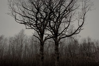 011214/31