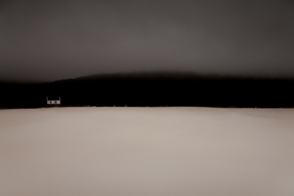 harris-2276