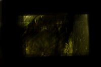 030214 #317-10-3
