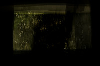030214 #317-12-2