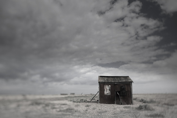 dungeness 8