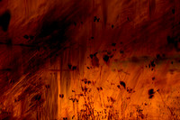 multiple exposure #8