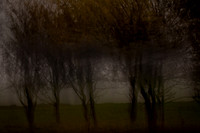 autumn #4