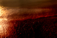 sea of blood #15