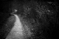 Path