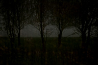 autumn #1