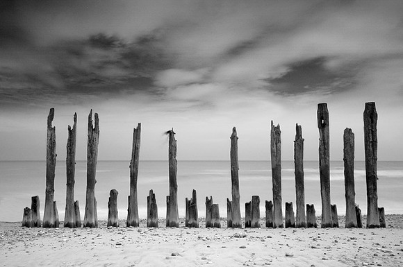 Posts
