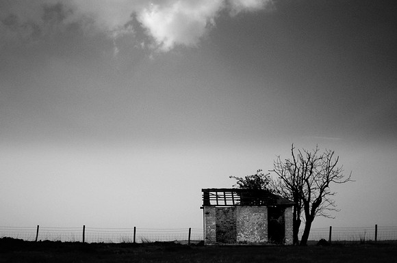 End of the walk 2