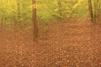 2013-09-12-88