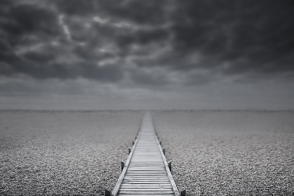 dungeness 5