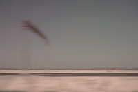 silk road #28