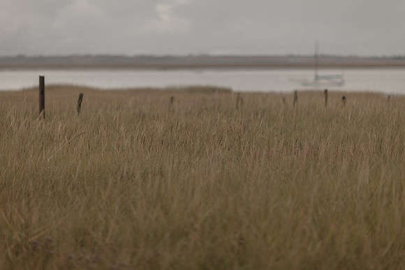 riverbank #13