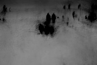 winter #2