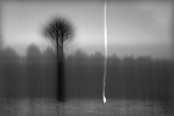 Shooting star