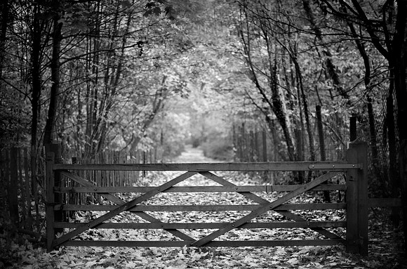 Gate